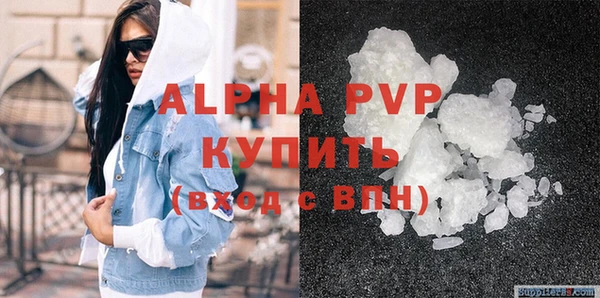 стафф Арсеньев