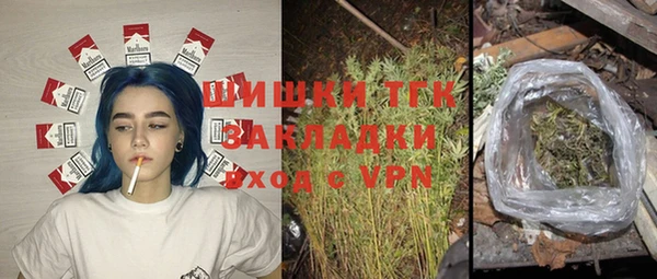 стафф Арсеньев