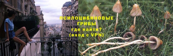 стафф Арсеньев