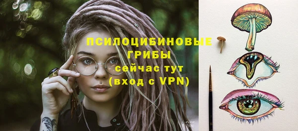 стафф Арсеньев