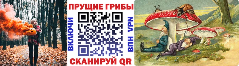 Галлюциногенные грибы Magic Shrooms  что такое   Ряжск 